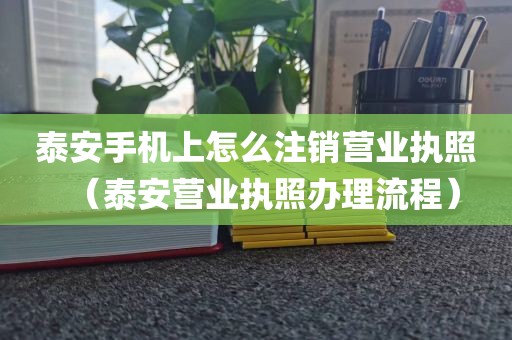泰安手机上怎么注销营业执照（泰安营业执照办理流程）