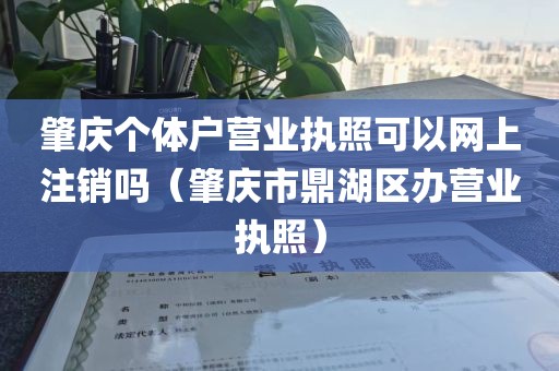 肇庆个体户营业执照可以网上注销吗(肇庆市鼎湖区办营业执照)