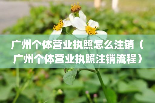 广州个体营业执照怎么注销（广州个体营业执照注销流程）