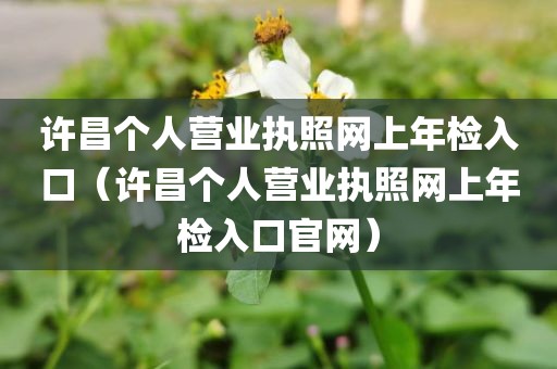 许昌个人营业执照网上年检入口（许昌个人营业执照网上年检入口官网）
