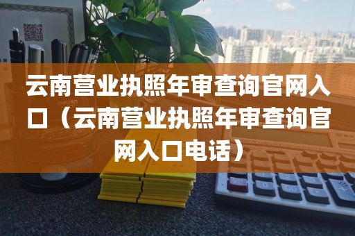 云南营业执照年审查询官网入口（云南营业执照年审查询官网入口电话）