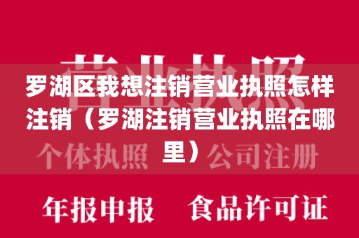 罗湖区我想注销营业执照怎样注销（罗湖注销营业执照在哪里）
