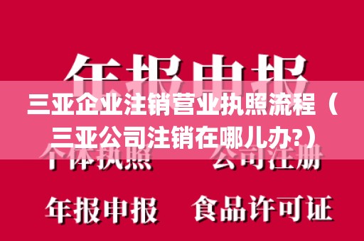 三亚企业注销营业执照流程（三亚公司注销在哪儿办?）