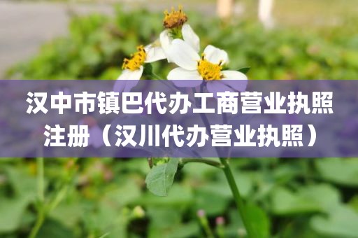 汉中市镇巴代办工商营业执照注册（汉川代办营业执照）