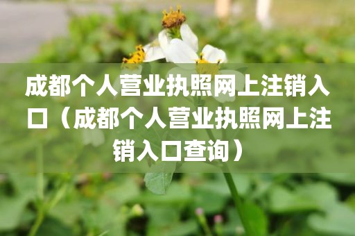 成都个人营业执照网上注销入口（成都个人营业执照网上注销入口查询）