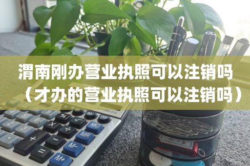 渭南刚办营业执照可以注销吗（才办的营业执照可以注销吗）