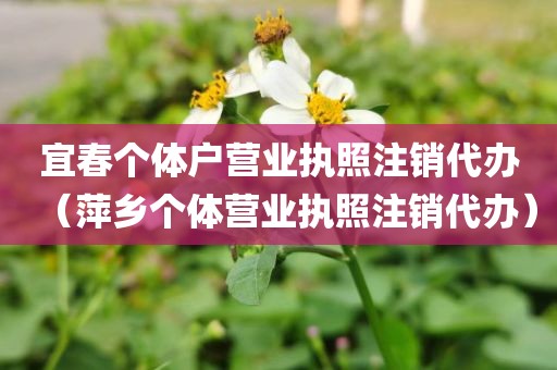 宜春个体户营业执照注销代办(萍乡个体营业执照注销代办)