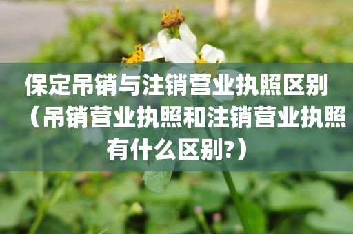 保定吊销与注销营业执照区别（吊销营业执照和注销营业执照有什么区别?）