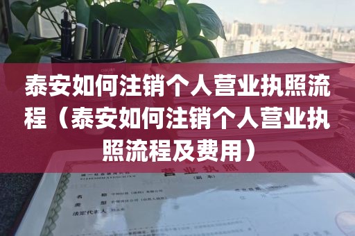 泰安如何注销个人营业执照流程(泰安如何注销个人营业执照流程及费用)