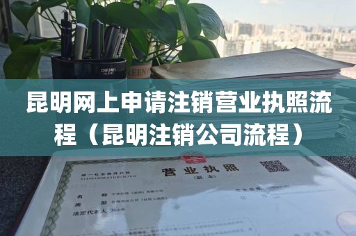 昆明网上申请注销营业执照流程(昆明注销公司流程)