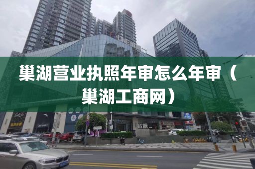 巢湖营业执照年审怎么年审（巢湖工商网）