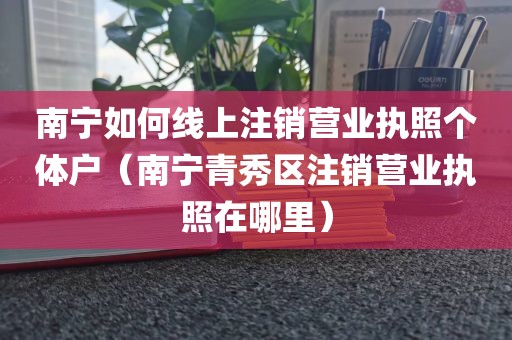 南宁如何线上注销营业执照个体户(南宁青秀区注销营业执照在哪里)