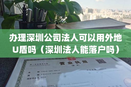 办理深圳公司法人可以用外地U盾吗（深圳法人能落户吗）