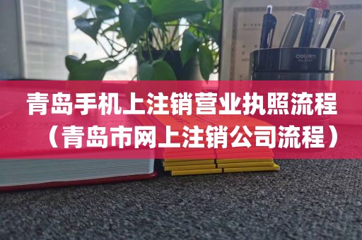 青岛手机上注销营业执照流程（青岛市网上注销公司流程）
