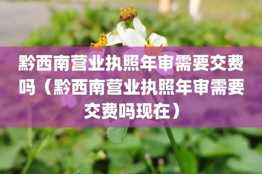 黔西南营业执照年审需要交费吗（黔西南营业执照年审需要交费吗现在）