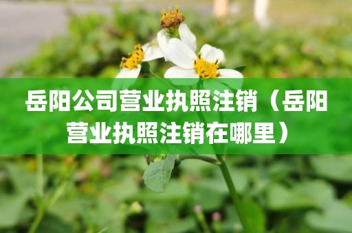 岳阳公司营业执照注销(岳阳营业执照注销在哪里)