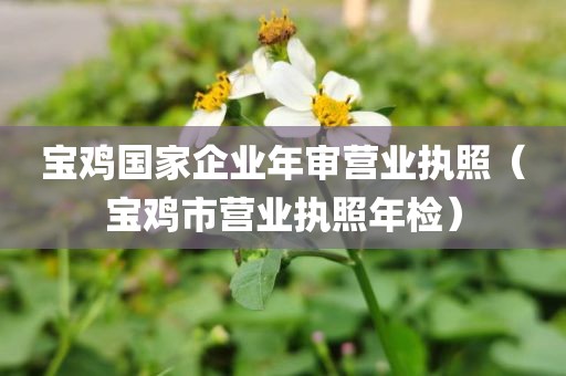 宝鸡国家企业年审营业执照（宝鸡市营业执照年检）