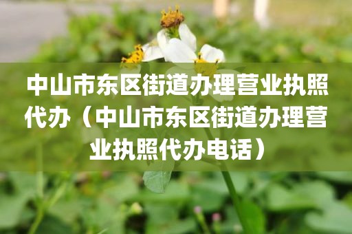 中山市东区街道办理营业执照代办（中山市东区街道办理营业执照代办电话）