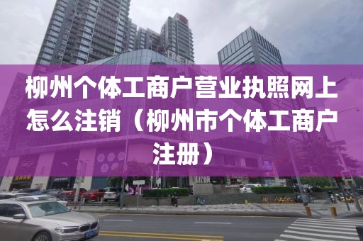 柳州个体工商户营业执照网上怎么注销（柳州市个体工商户注册）