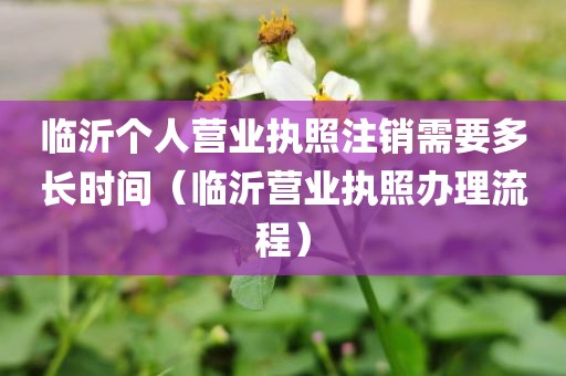临沂个人营业执照注销需要多长时间（临沂营业执照办理流程）