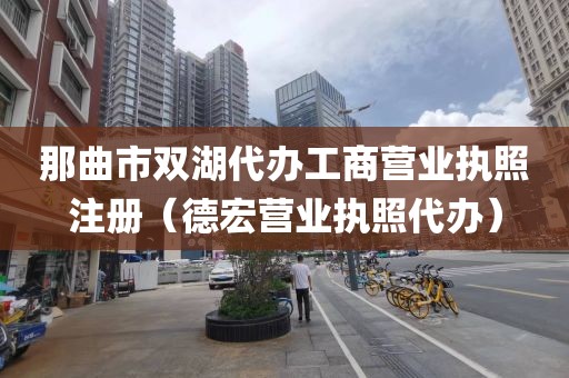 那曲市双湖代办工商营业执照注册(德宏营业执照代办)