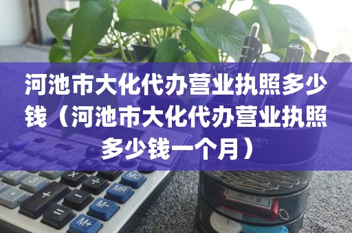 河池市大化代办营业执照多少钱（河池市大化代办营业执照多少钱一个月）