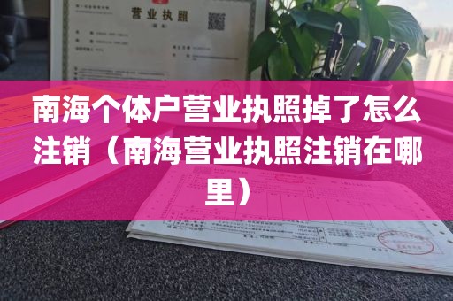 南海个体户营业执照掉了怎么注销(南海营业执照注销在哪里)