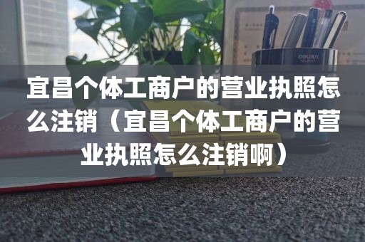 宜昌个体工商户的营业执照怎么注销(宜昌个体工商户的营业执照怎么注销啊)