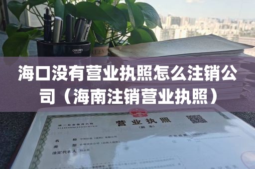 海口没有营业执照怎么注销公司（海南注销营业执照）