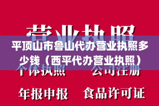 平顶山市鲁山代办营业执照多少钱（西平代办营业执照）