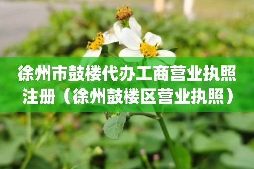 徐州市鼓楼代办工商营业执照注册（徐州鼓楼区营业执照）