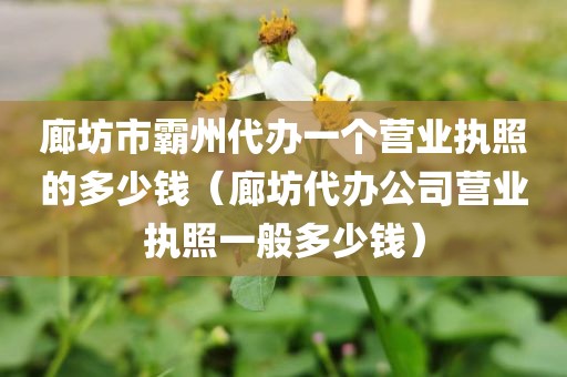 廊坊市霸州代办一个营业执照的多少钱(廊坊代办公司营业执照一般多少钱)