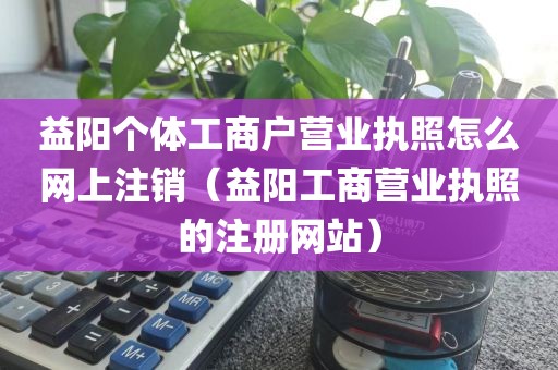 益阳个体工商户营业执照怎么网上注销（益阳工商营业执照的注册网站）