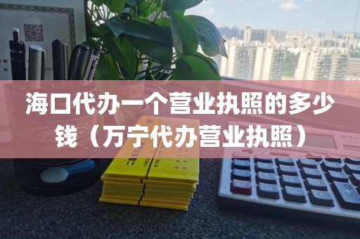 海口代办一个营业执照的多少钱（万宁代办营业执照）