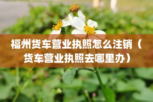 福州货车营业执照怎么注销（货车营业执照去哪里办）