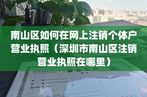 南山区如何在网上注销个体户营业执照（深圳市南山区注销营业执照在哪里）