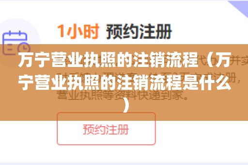 万宁营业执照的注销流程（万宁营业执照的注销流程是什么）