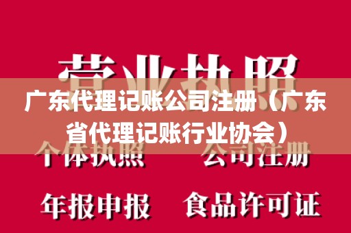 广东代理记账公司注册（广东省代理记账行业协会）