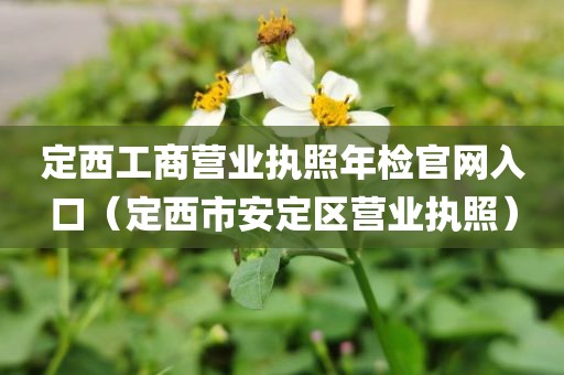 定西工商营业执照年检官网入口（定西市安定区营业执照）