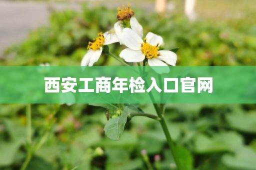 西安工商年检入口官网