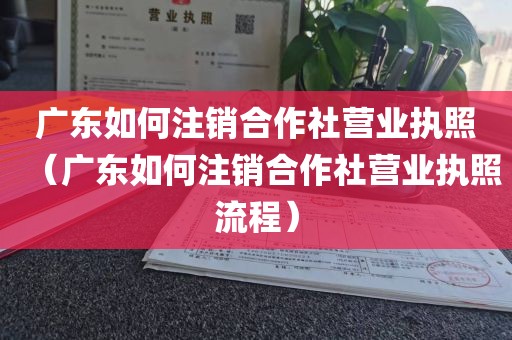广东如何注销合作社营业执照（广东如何注销合作社营业执照流程）