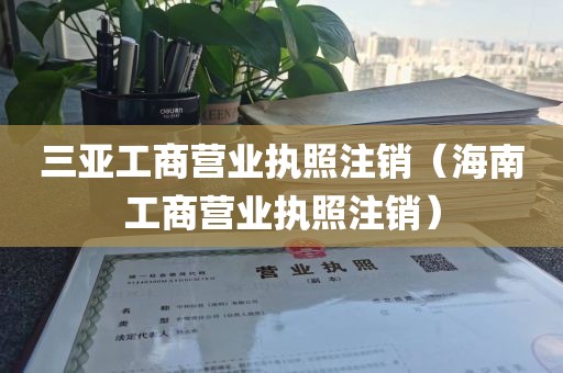 三亚工商营业执照注销（海南工商营业执照注销）