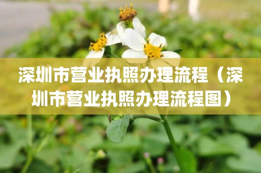 深圳市营业执照办理流程（深圳市营业执照办理流程图）