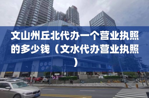 文山州丘北代办一个营业执照的多少钱（文水代办营业执照）