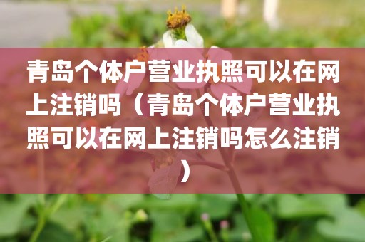 青岛个体户营业执照可以在网上注销吗（青岛个体户营业执照可以在网上注销吗怎么注销）