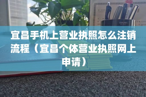 宜昌手机上营业执照怎么注销流程（宜昌个体营业执照网上申请）