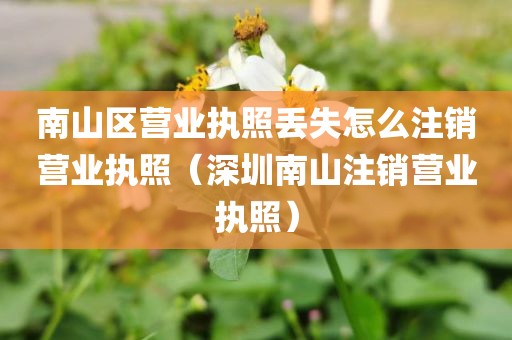 南山区营业执照丢失怎么注销营业执照（深圳南山注销营业执照）