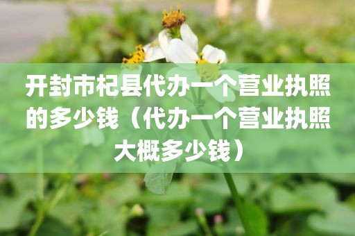 开封市杞县代办一个营业执照的多少钱（代办一个营业执照大概多少钱）