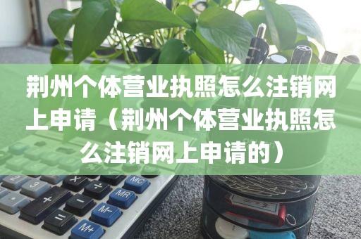 荆州个体营业执照怎么注销网上申请(荆州个体营业执照怎么注销网上申请的)