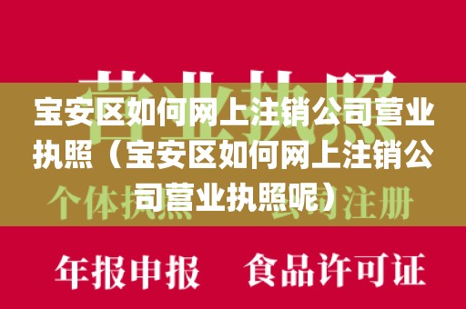 宝安区如何网上注销公司营业执照(宝安区如何网上注销公司营业执照呢)